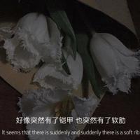 庐山瀑布风景观后感细选