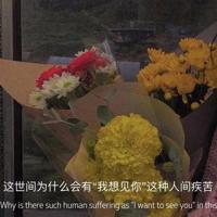 刘关张大战吕布的观后感精练