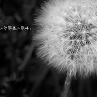 《巧媳妇》的读后感摘录