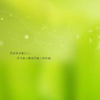 奇妙夜英文读后感集锦