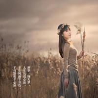 乌鲁木齐市文化观后感摘录