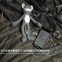 辛亥革命观后感800字收集