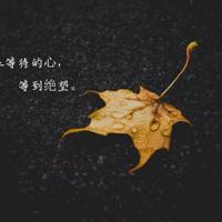 老师没收了蚂蚁瓶子读后感整理