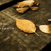 伊索寓言之蠢狮子读后感汇合