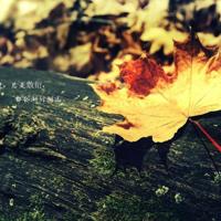 顺丰259理念观后感汇聚