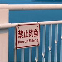 电影飞天梦圆观后感集锦