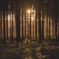 不要相信任何人读后感汇总