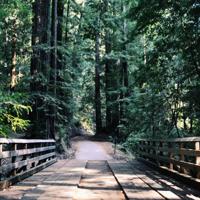 纸飞机剧目观后感精选