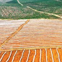 小刀观后感500字左右整理