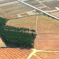 哈利波特7观后感70字集锦