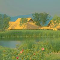 钥匙瓜读后感余雷汇聚