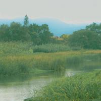 素媛观后感学生作文选录