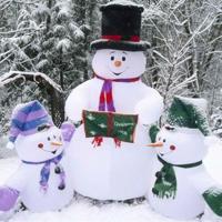 毒品危害观后感100字汇聚