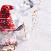 小学生稻草人读后感十个字锦集