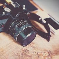 乱世佳人阅读后感细选