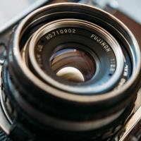 窗外的小树的读后感合计