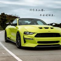 电影勇敢传说观后感精练