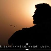 七年级爱语文读后感合计