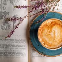 小狼请客30字读后感汇编