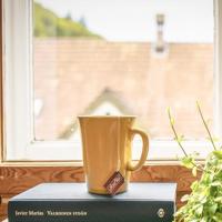 狮子一家的观后感整理