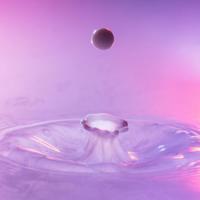 鹿树的读后感500字细选