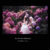 骆驼祥子辩论会读后感合计