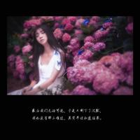 李鸿章家风读后感汇总