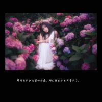 纪录片攀登者观后感精选