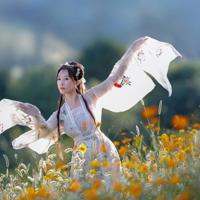 期中考试观后感700汇总