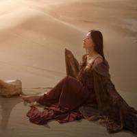 会飞的木箱读后感500字选录