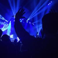 科霍河畔的奇遇的读后感精练