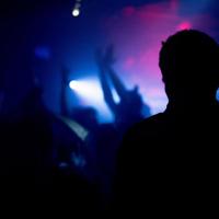 凤凰开花观后感500汇集