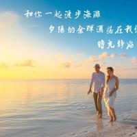 圣斗士星矢观后感400汇编