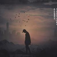 犯罪与教育读后感汇聚