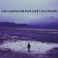 人类观后感五百字左右汇聚