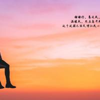 挂铃铛的小狗读后感合计