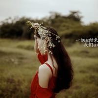 小猪变形记绘本读后感汇集