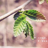 守望一生观后感400字锦集