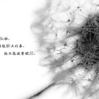 故事王冕学画读后感精练