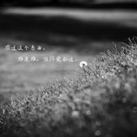 走在道路上观后感精练