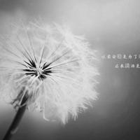 雷锋甘当螺丝钉读后感收集