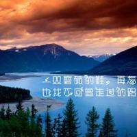 挫折如石生命如花的读后感汇集