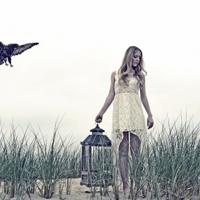 小白的选择读后感100字精选