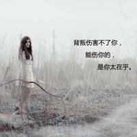 躲在角落的猫的读后感整理