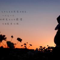 河南革命圣地观后感汇合