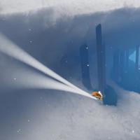 让青春美丽之花绽放读后感聚集