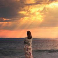 夏令营寻宝观后感200字集合