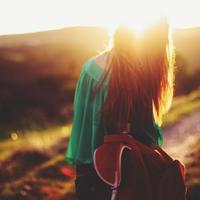 蘑菇人读后感600字收集