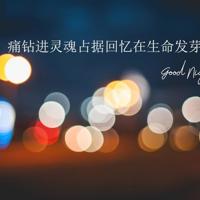 陪伴类作文读后感集锦