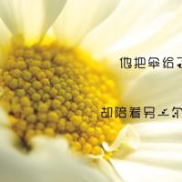 我的老阿姨读后感汇总